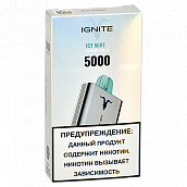 POD- Ignite V2 (5.000 ) - Icy Mint - 2% - (1 .)