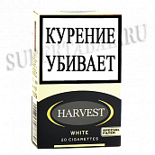 Harvest White () - ( 260)